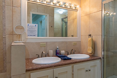 Blue Marlin Suite: Master Bedroom Ensuite Bathroom