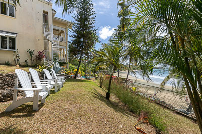 The gardens at Black Rock Dreams